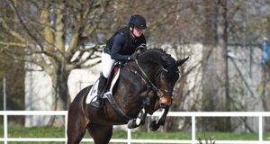 Numerous new customers for DSP Eventers auction
