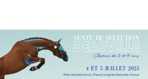FENCES Deauville Selection Auction – 2nd edition