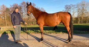 Drako de Maugré: Nicolas Normand’s rising star