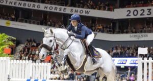 A brave choice of sire resulted in Cicci BJN (SWB)