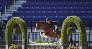 The Warmblood in Canada: Where do we go from here?