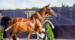 Fourth Tyszko and Cichon show honours foals and young horses