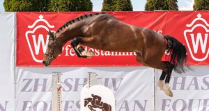 Cornet Obolensky’s popularity remains undimmed