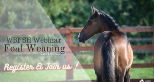 WBFSH foal weaning webinar – less than one week to go…