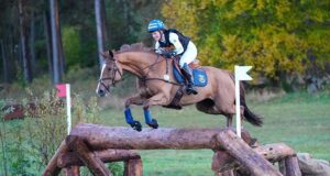 Swedish Warmblood Breeders Trophy for eventing horses