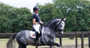 NRPS accepts three stallions from Perlee Stables