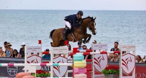Ace of Hearts: An ‘ace’ up the sleeve of Estonian Sport Horses