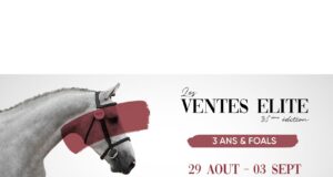 FENCES Elite Auctions – one week to go…