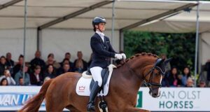My Toto defies dressage laws, and happy horses prevail