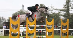 In review: 2023 HSI Show Jumping Studbook Series