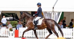 Five Hanoverians claim shower of Bundeschampion medals