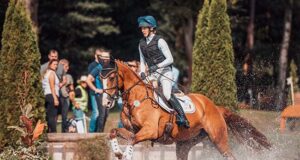 Showjumping omnipresence, and spectacular young eventers
