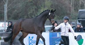 Trakehner Young Breeders: A focus on the future
