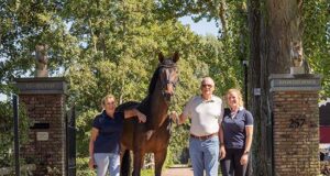 Tim Coomans: Half a century of collected horse knowledge…