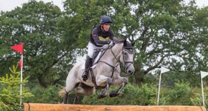 ISH Studbook success in 2023 WBFSH rankings