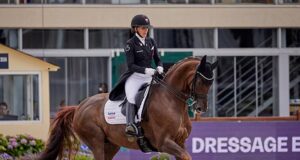 Krack C: The sire that launched Dutch dressage breeding