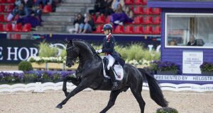 WBFSH 2022-23 studbook rankings under the microscope
