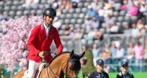 Liselotte Tillberg: Proud to have bred Albführen’s Maddox