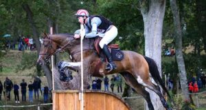 Eventing breeding comes of age according to the WBCYH