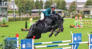 Polish-bred Hanoverian stallion achieves FRH suffix