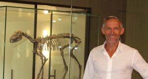 Tom Mariën: “I was determined to become an equine surgeon.”