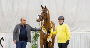 Showjumping quality that hasn’t been seen in a long time