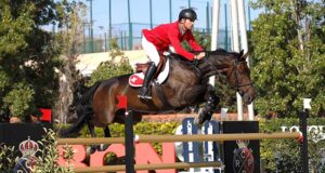 Best stallions during the 2023 Nations’ Cup season