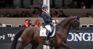 Swedish Warmblood records its best dressage WBCYH ever!