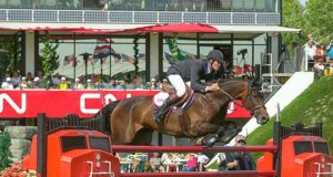 Fantastic greys and rewarding dam lines at KWPN test