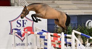 Kill Bill du Mesnil scores 3yo win for Jean-Luc Lebourgeois