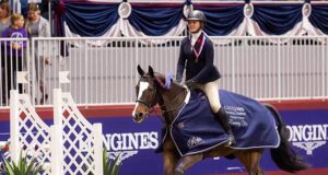 Taking it all the way: From breeding to show ring – Part 2