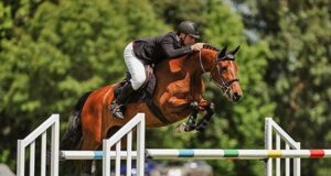 Young talents showcased at NZ national SJ championships
