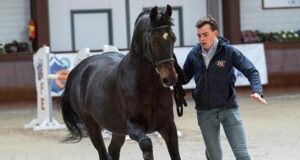 Young BWP members: Passion and a willingness to learn