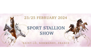 Saint-Lô, Normandy: 18th edition of sport stallion show