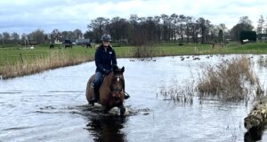 Two more Dutch team horses secured by NOP