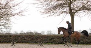 Kars Bonhof: A feeling of being at home with Team Nijhof