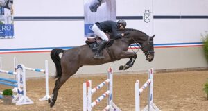 March is a time for renewal in Elmshorn