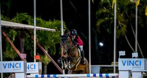 Prominent placings for BH horses during WEF, Wellington
