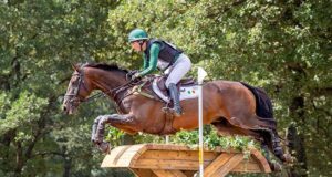 Impressive rankings results for traditionally bred Puissance