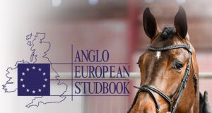 AES Spring Stallion Gradings