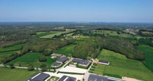 AI, ET, or OPU-ICSI: What is right for my mare?