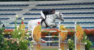 Horse Sport Ireland 2024 Stallion Selections