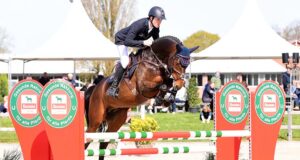 Holsteiner Verband ‘live’ stallion presentation on May 1