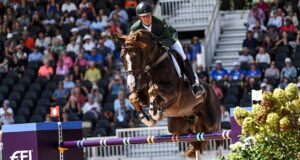 Belgian Sport Horse (SBS) approves 28 new stallions