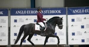 AES Netherlands hosts highly successful spring grading