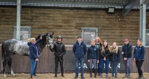 AES Spring Stallion Gradings and young breeder training