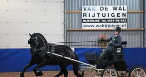Coveted ‘Preferent’ award for top KFPS breeding mares