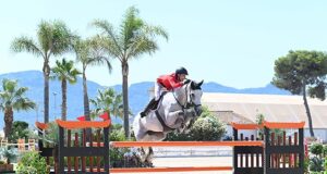BWP approves 41 showjumping and four dressage stallions