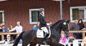 A diamond for the Netherlands at 101st Oldenburg Elite Auction