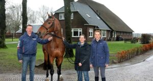 Expertise and goodwill equals success for Reinie Tewis